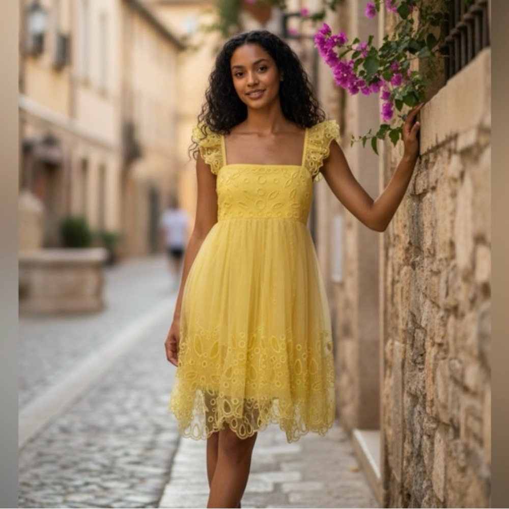 NWT Anthropologie Let Me Be Eyelet Tulle Mini Dress
Size XXS
Whimsy
Fairy
Ballet